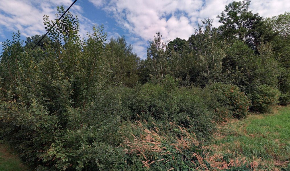 Prodej louky 2 625 m², Vápenná – náhled fotky 2