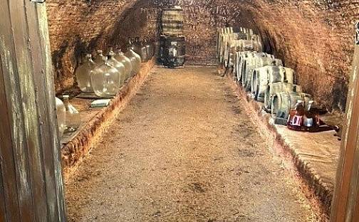 Prodej stavebního pozemku 273 m², Dolní Dunajovice, okres Břeclav