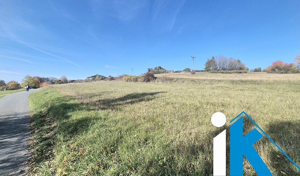 Prodej pole 2 347 m², Dzbel – náhled fotky 2
