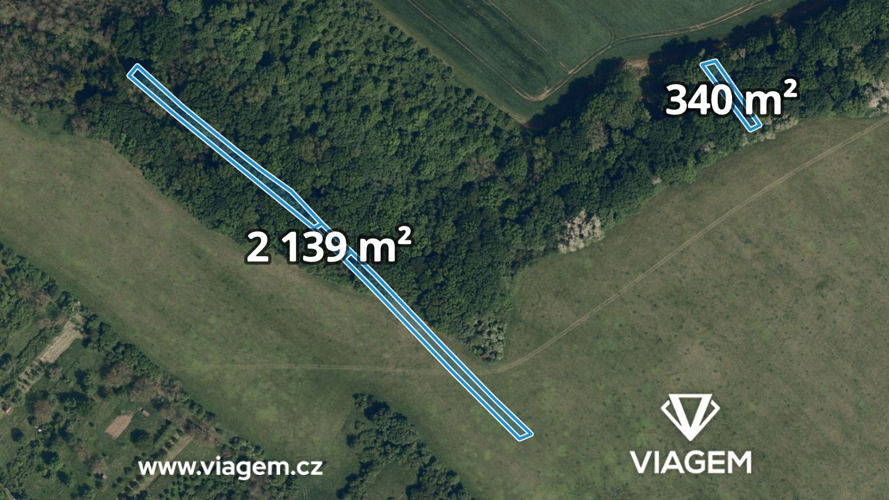 Prodej lesa 882 m²