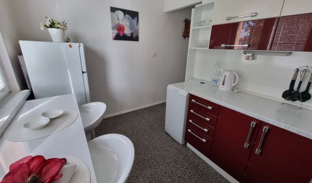 Pronájem bytu 2+1 53 m², Ostrava – náhled fotky 3