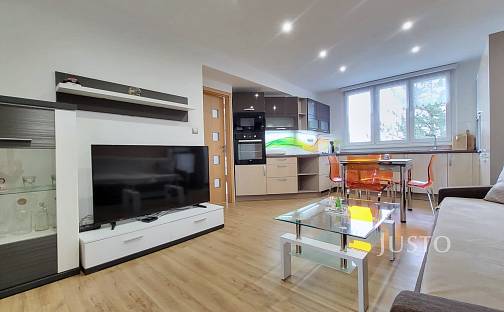 Pronájem bytu 2+kk 53 m², Dr. M. Horákové, Písek - Budějovické Předměstí