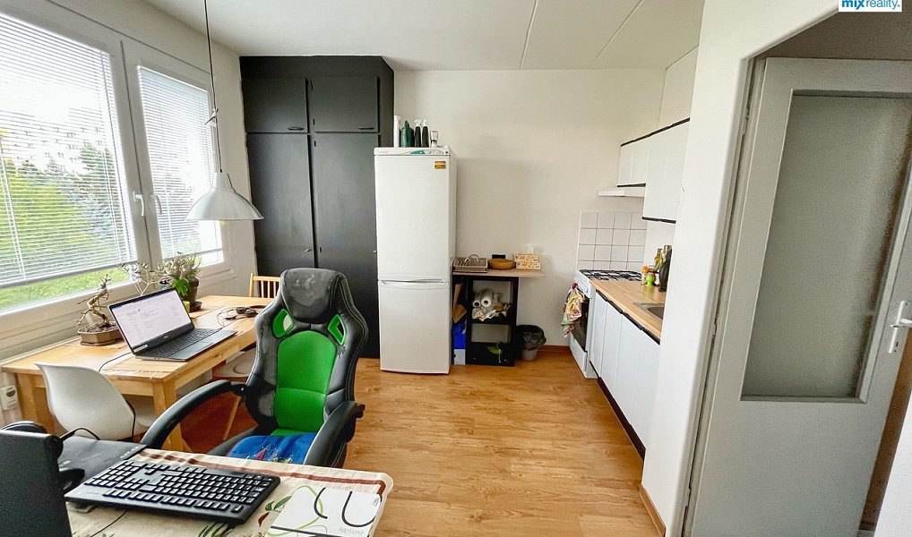 Pronájem bytu 1+1 39 m², Plzeň – náhled fotky 7