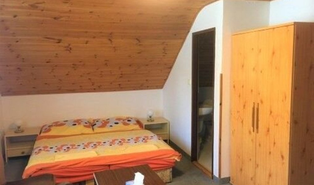 Prodej ubytovacího objektu 260 m², Holubov – náhled fotky 17