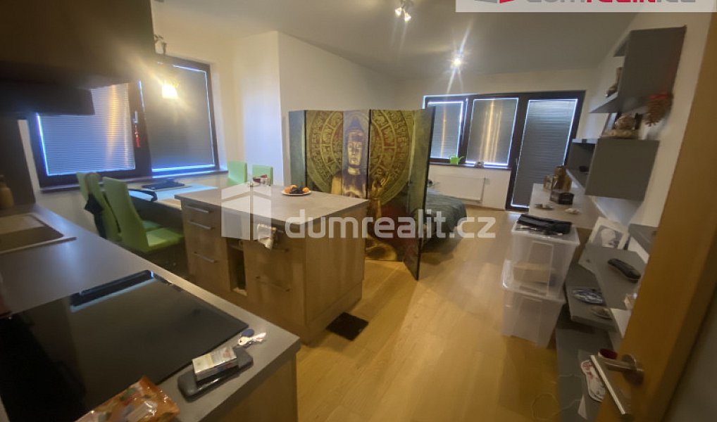 Pronájem bytu 1+kk 43 m², Praha – fotka 1 z 13