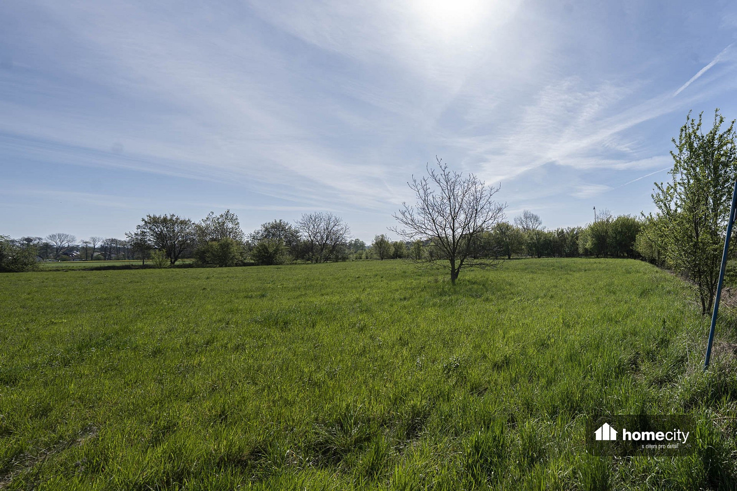 Prodej komerčního pozemku 9 749 m² – fotografie 3