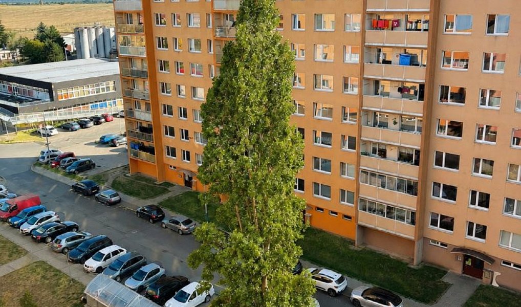 Pronájem bytu 2+kk 40 m², Žatec – náhled fotky 11