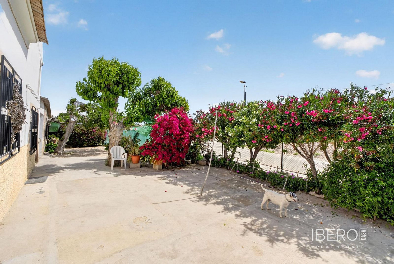 Casa 4+kk – Orihuela, Casco Histórico - Vista 5