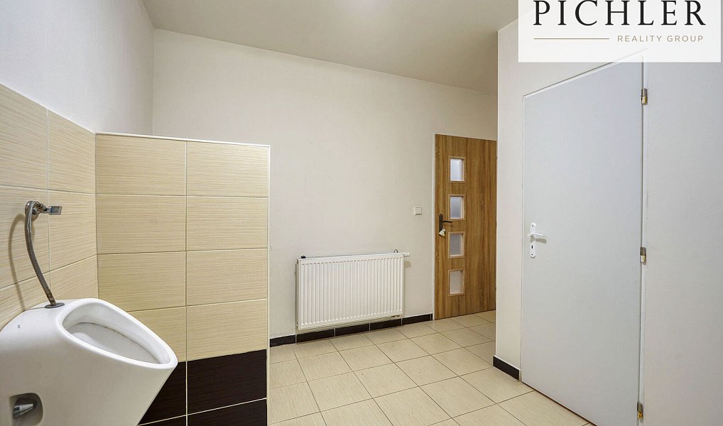 Pronájem výrobních prostor 3 000 m², Horní Bříza – náhled fotky 11