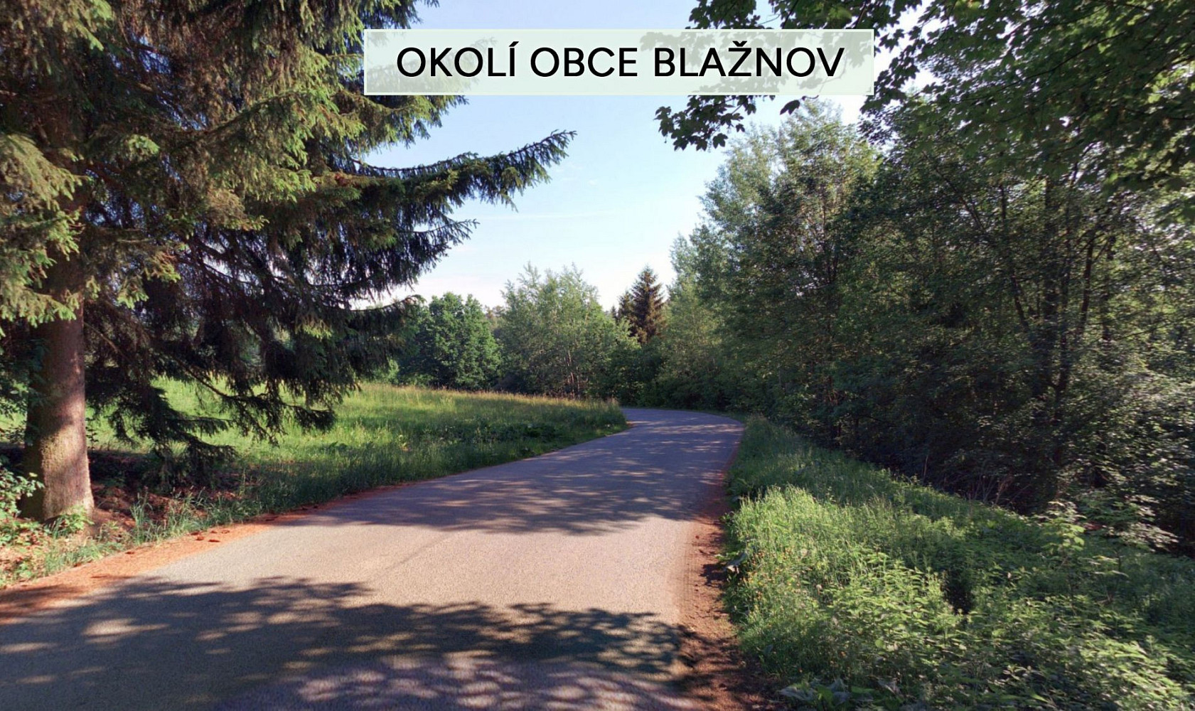 Fotka 6 z 8