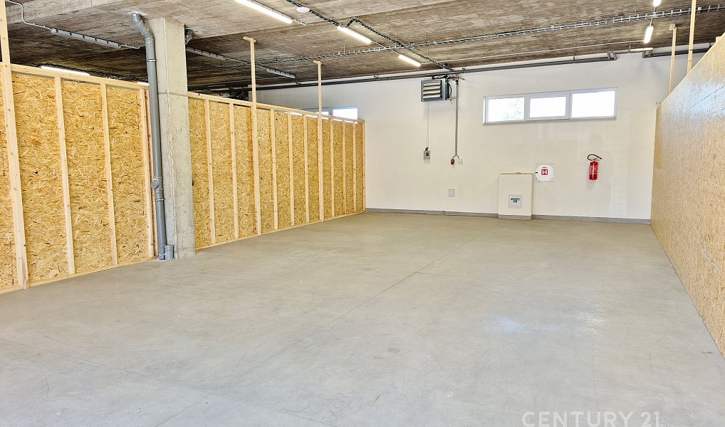 Pronájem komerčního prostoru, 102 m², Černovice - Brno-město, Brno