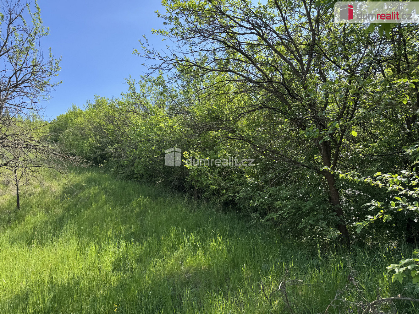 Prodej louky 5 056 m² — photo 3