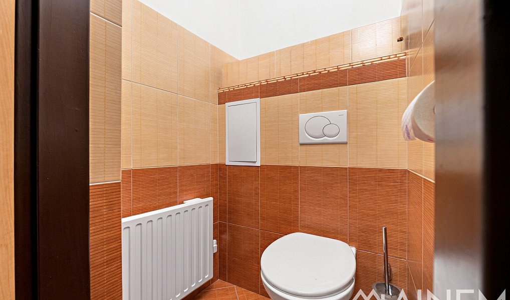 Prodej bytu 1+1 49 m², Plzeň – náhled fotky 13
