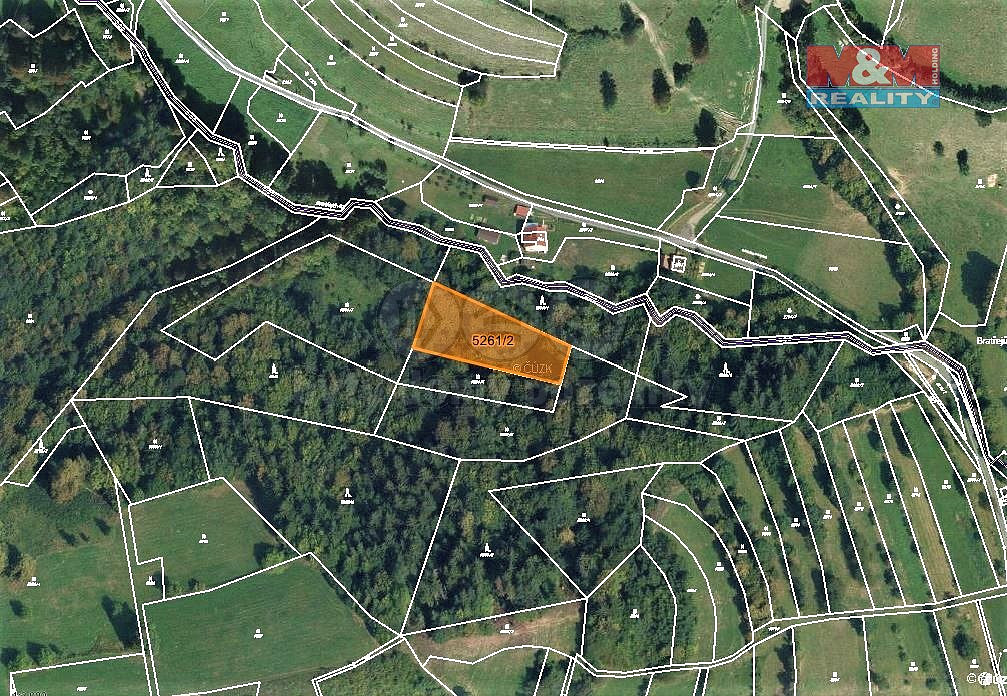 Prodej lesa 4 913 m² – fotografie 3