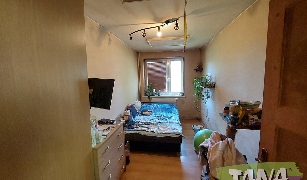 Prodej domu 80 m² s pozemkem 29 401 m², Mostek – náhled fotky 19