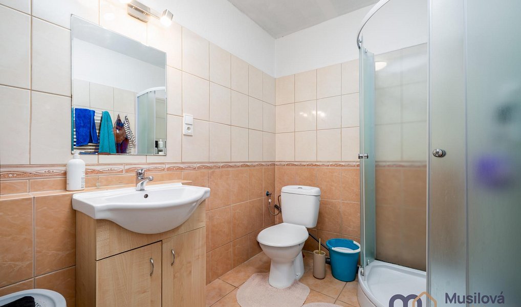 Prodej domu 210 m² s pozemkem 322 m², Novosedlice – náhled fotky 14
