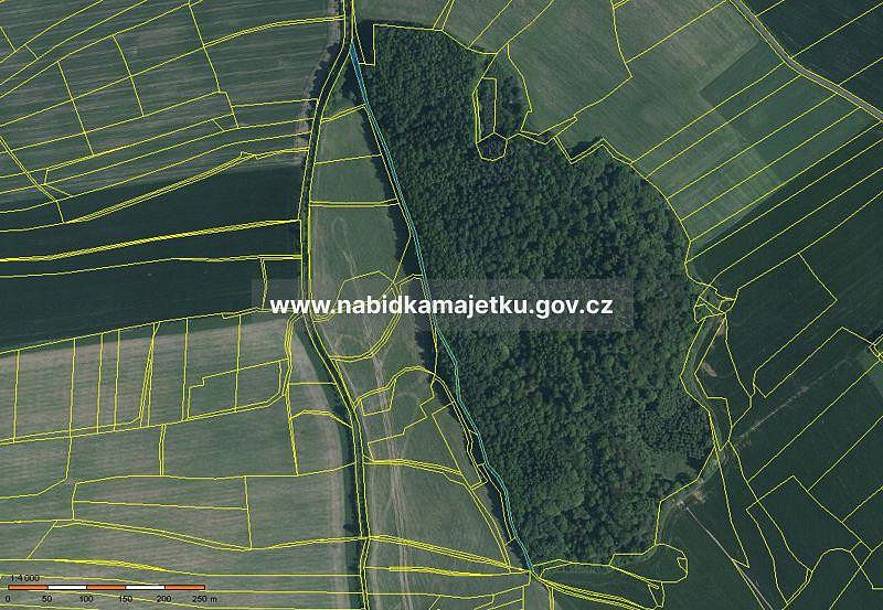 Prodej lesa 2 421 m², Čížkov