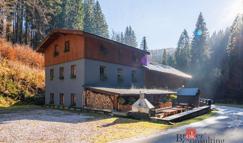 Prodej domu 650 m² s pozemkem 906 m², Strážné – náhled fotky 5