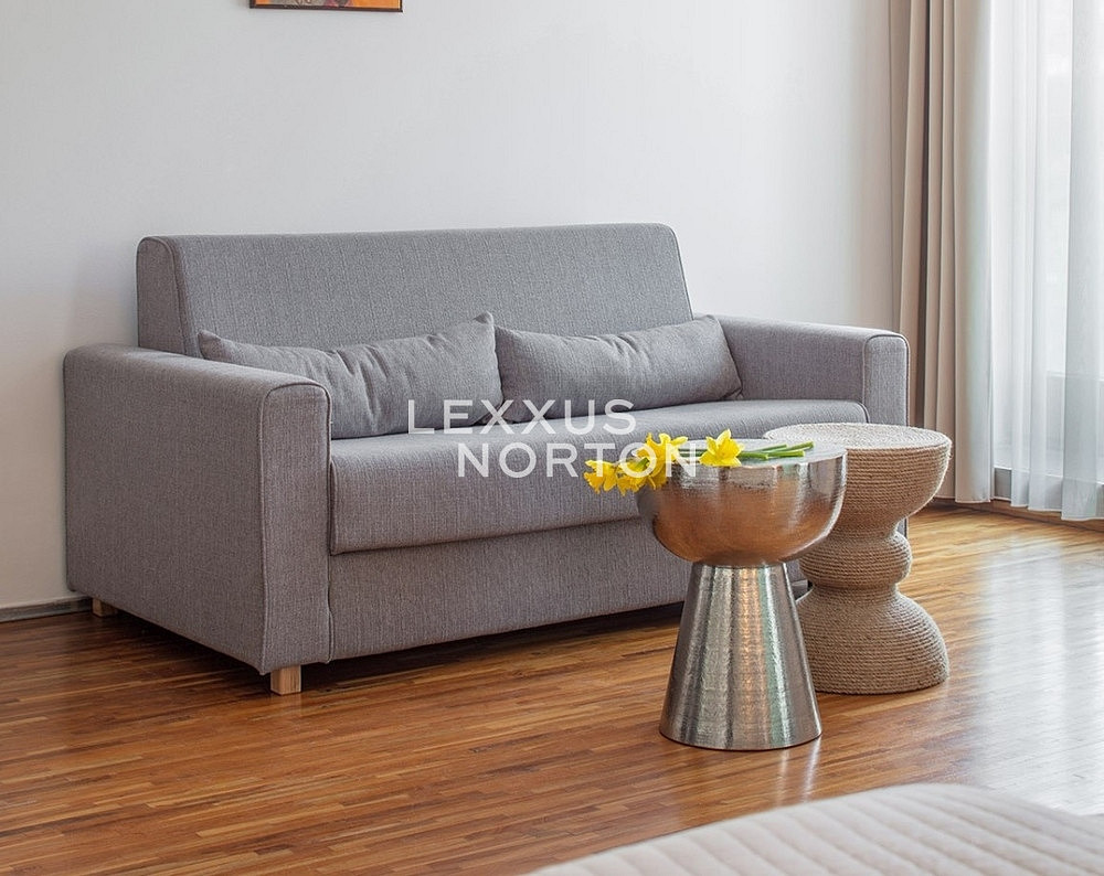 Pronájem bytu 1+kk 30 m² — photo 4
