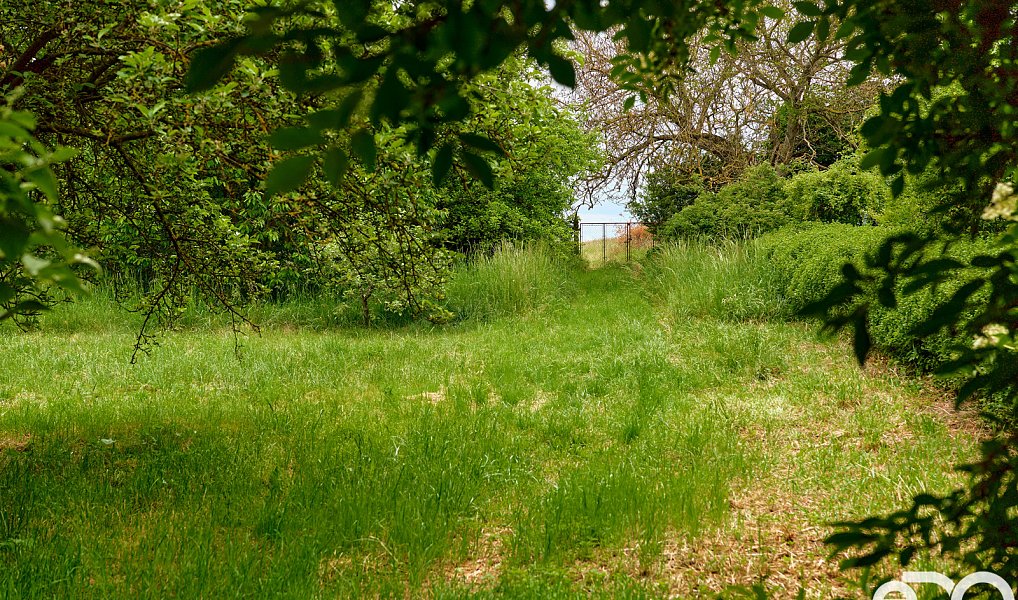 Prodej domu 320 m² s pozemkem 1 765 m², Chudčice – náhled fotky 17