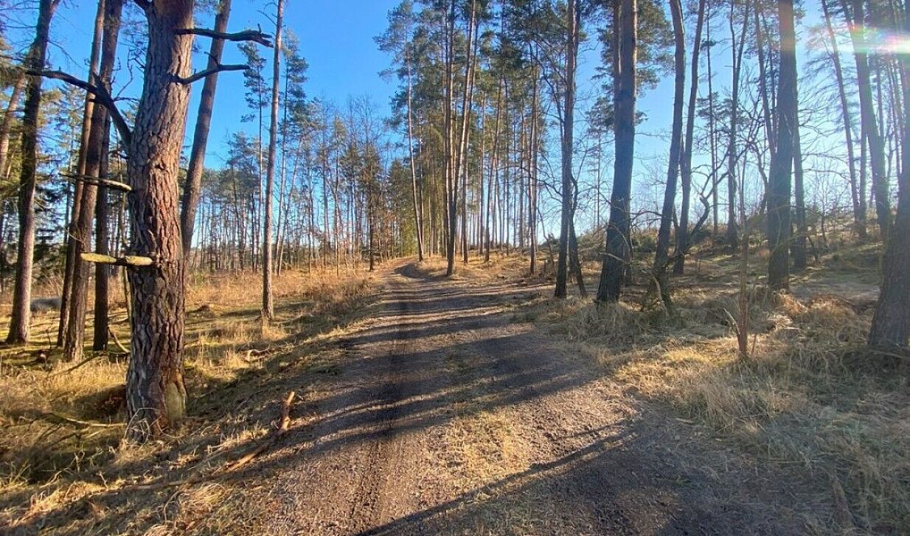 Prodej pozemku 3 847 m², Kočov – náhled fotky 4