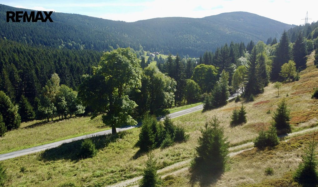 Prodej louky 28 918 m², Malá Úpa – náhled fotky 11