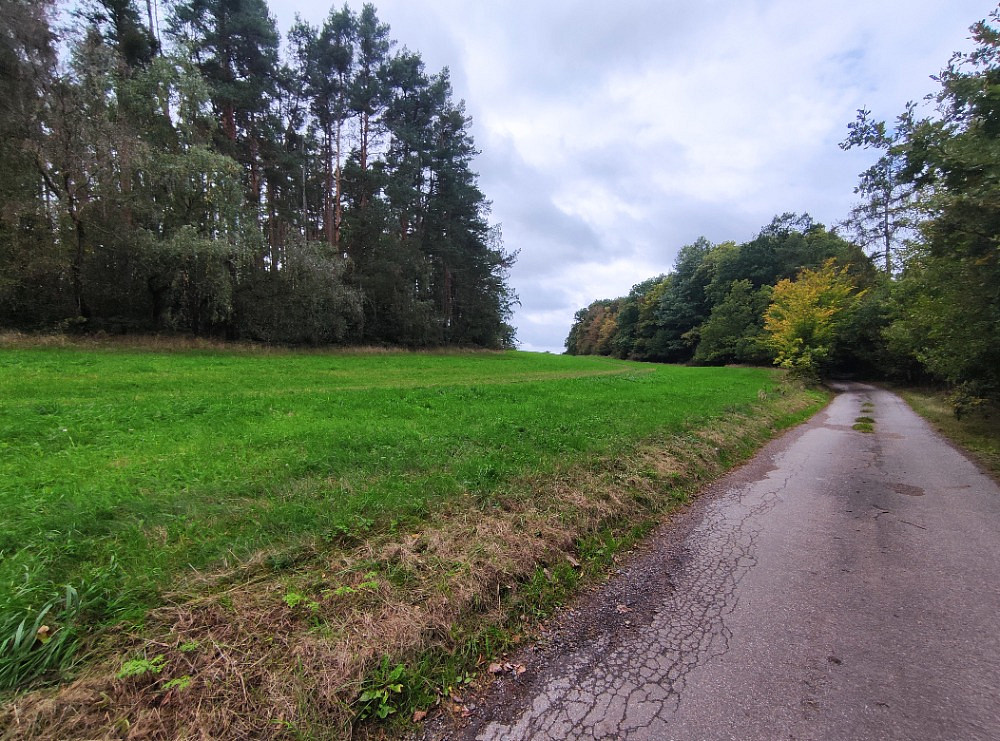 Prodej lesa 44 533 m², Nečín