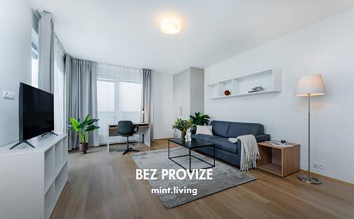 Pronájem bytu 3+kk 62 m², Františka Kováříka, Plzeň - Skvrňany