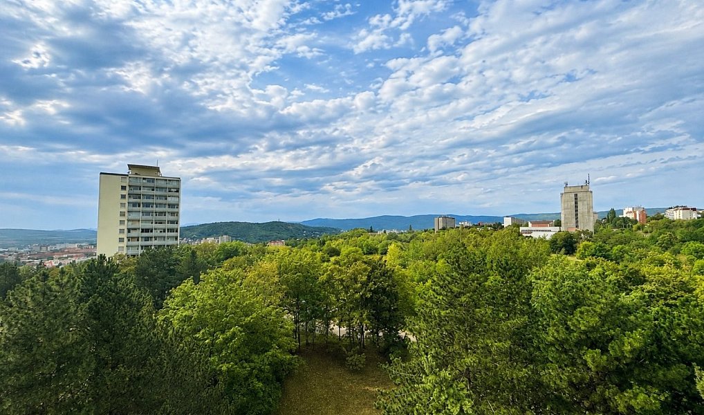 Pronájem bytu 1+kk 21 m², Ústí nad Labem – náhled fotky 10