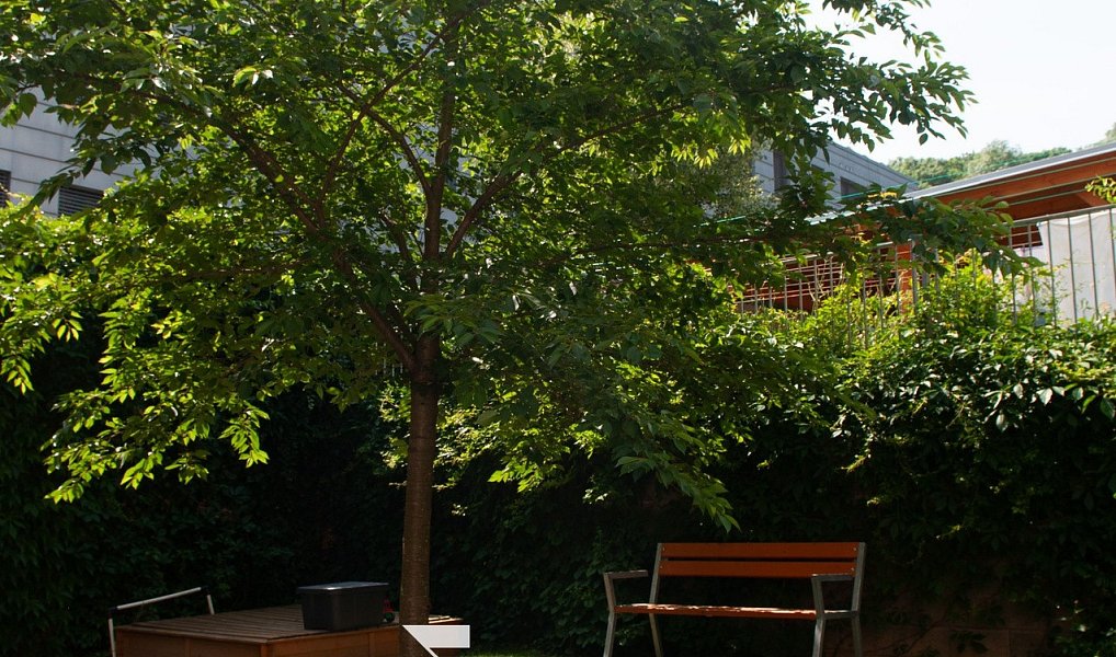 Pronájem bytu 2+kk 45 m², Brno – náhled fotky 11