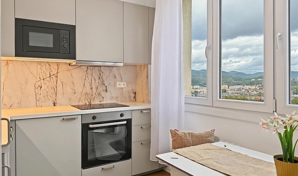 Prodej bytu 1+1, 42 m², Střekov - Ústí nad Labem, Ústí nad Labem