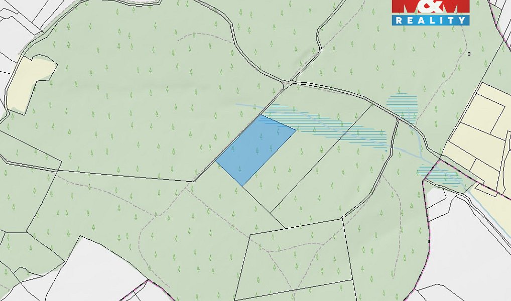 Prodej lesa 154 293 m², Milevsko – náhled fotky 4