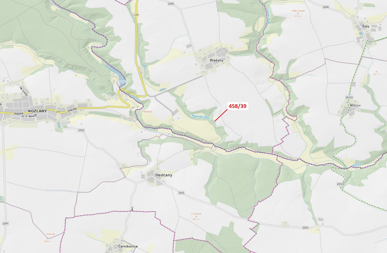 Dražba lesa 50 m²
