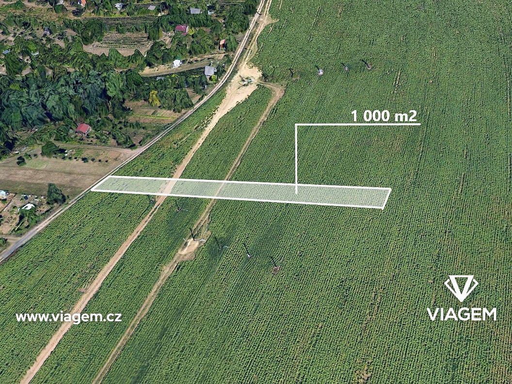 Prodej pole 1 000 m² – fotografie 4