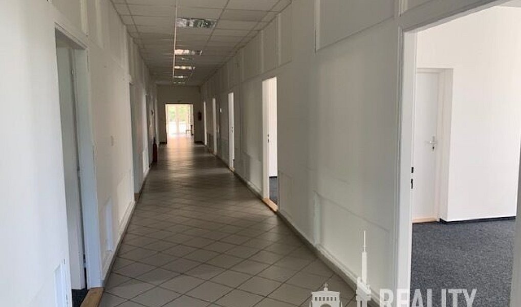 Pronájem kanceláře 347 m², Praha – náhled fotky 13