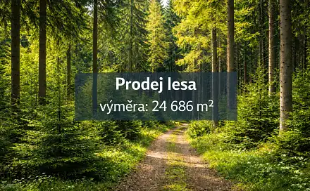 Prodej lesa 24 686 m², Vsetín
