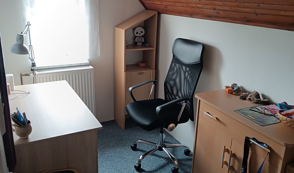 Prodej domu 150 m² s pozemkem 1 000 m², Šonov – náhled fotky 41