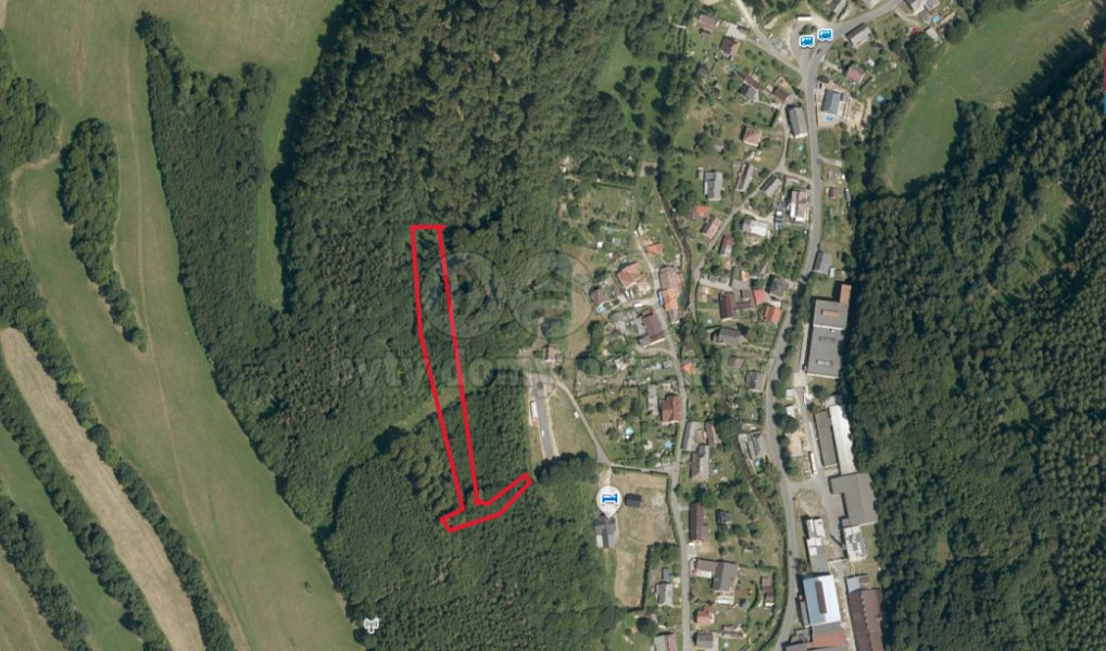 Prodej lesa 1 600 m², Oskava – náhled fotky 2