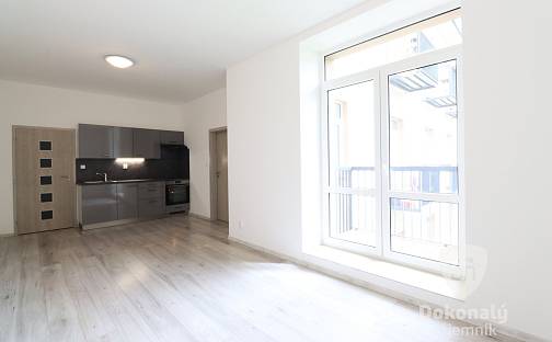 Pronájem bytu 2+kk 53 m², Slepá, Milovice - Mladá, okres Nymburk