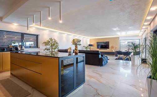 Prodej domu 360 m² s pozemkem 1 051 m², Horní, Sviadnov, okres Frýdek-Místek