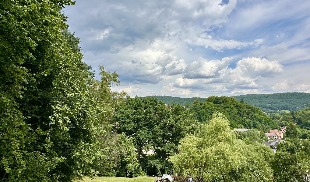 Prodej stavebního pozemku 3 706 m², Stříbrná Skalice – náhled fotky 2