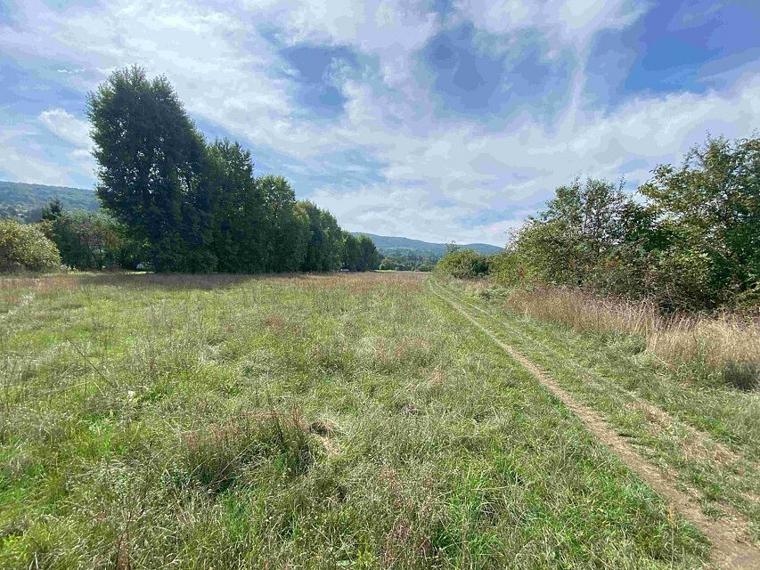 Dražba louky 601 m²