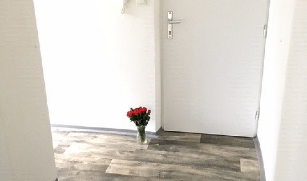 Pronájem bytu 2+1 54 m², Ostrava – náhled fotky 4