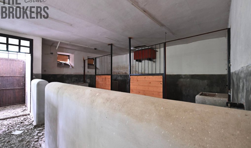 Prodej domu 5 000 m² s pozemkem 42 000 m², Zásmuky – náhled fotky 20