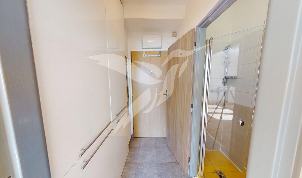 Pronájem bytu 1+kk 18 m², Plzeň – náhled fotky 3