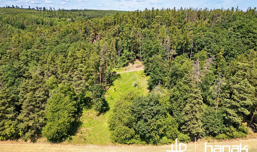 Prodej domu 127 m² s pozemkem 3 150 m², Hluchov – náhled fotky 11