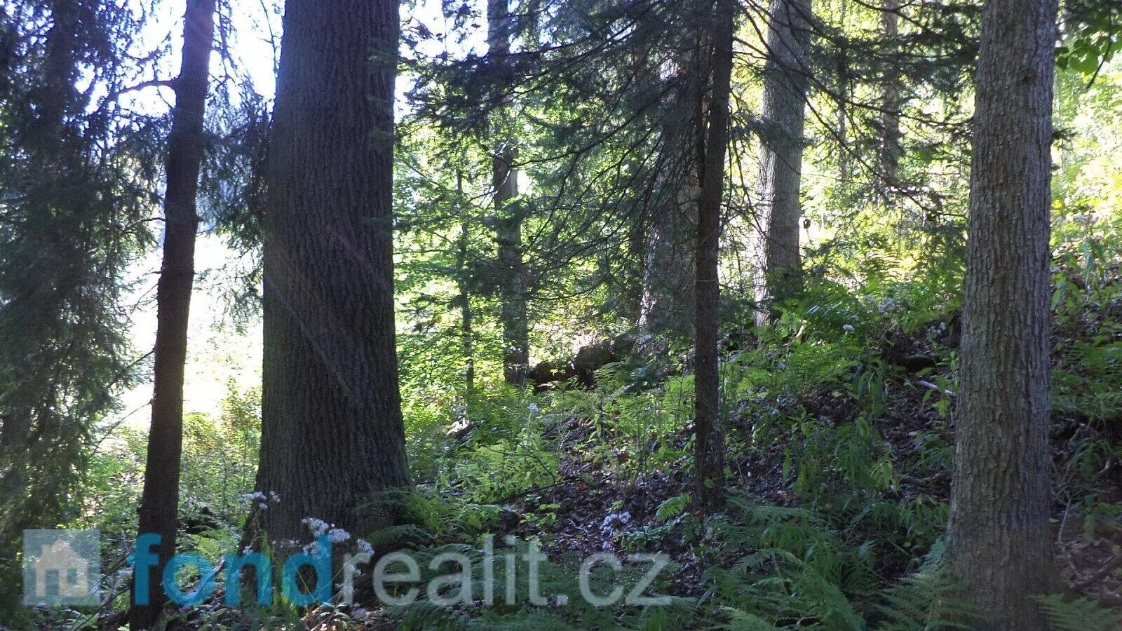 Prodej pole 14 721 m² – pohled 3