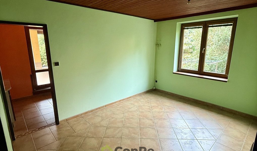 Prodej domu 297 m² s pozemkem 2 452 m², Provodín – náhled fotky 9