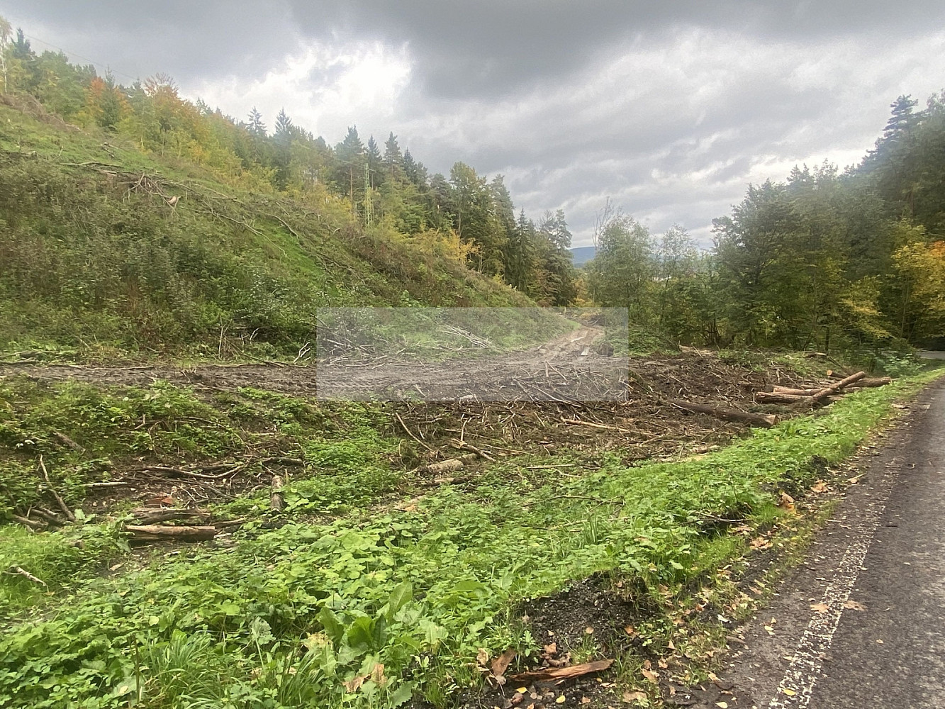 Prodej lesa 17 012 m², Český Dub