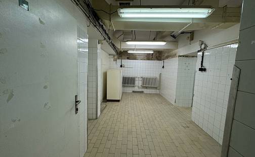 Pronájem komerčního objektu (jiného typu) 29 m², Chittussiho, Praha 6 - Bubeneč